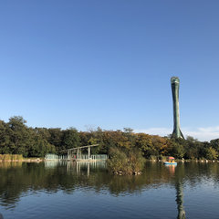 「福运盛京·春暖花开」攻略一 踏青赏景 沈城春意