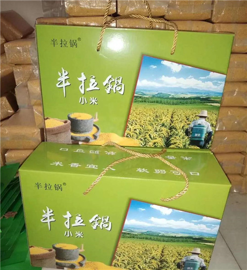 东北鲜米、郁金香葡萄、荆条蜜…第一书记变身主播现身带货!
