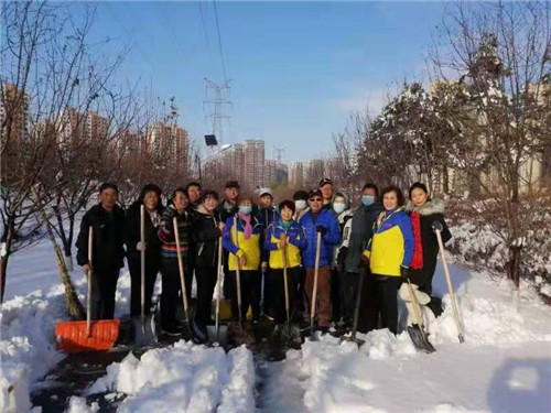 沈阳市社科联直属社会组织党组织积极参与扫雪除冰行动