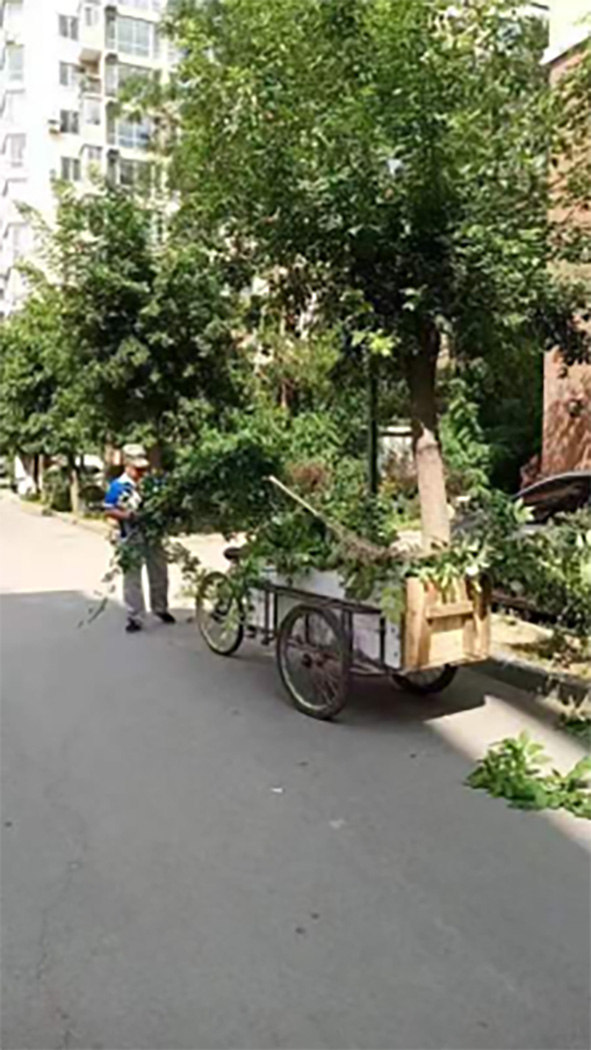ʹɽֵССԱ ѲδȰ