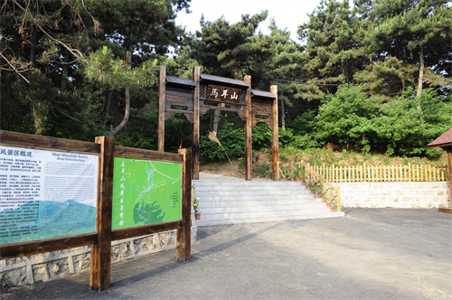2024爱沈阳“春天花正开”活动 推出“乡约新场景”