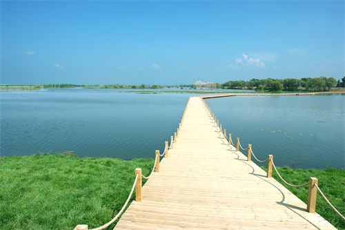 2024爱沈阳“春天花正开”活动 推出“乡约新场景”