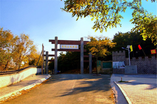 2024爱沈阳“春天花正开”活动 推出“乡约新场景”