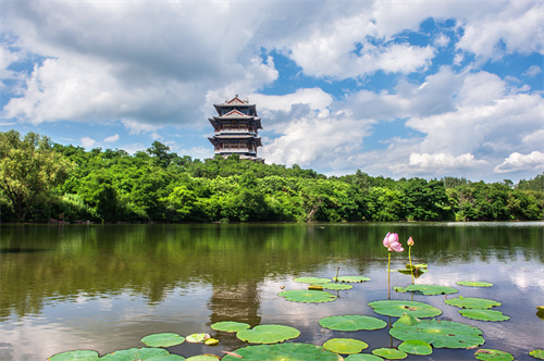 2024爱沈阳“春天花正开”活动 推出“乡约新场景”