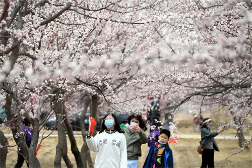 2024爱沈阳“春天花正开”活动 推出“乡约新场景”