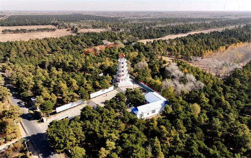 2024爱沈阳“春天花正开”活动 推出“乡约新场景”