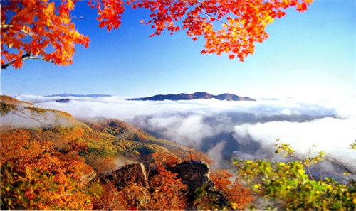 2025ִȦ＾Ļ ˬ71ʫԶ