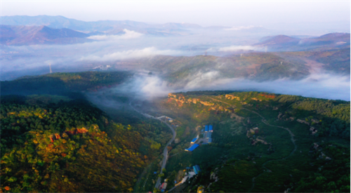 2025ִȦ＾Ļ ˬ71ʫԶ