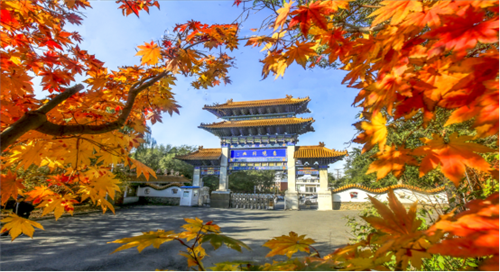 2025ִȦ＾Ļ ˬ71ʫԶ