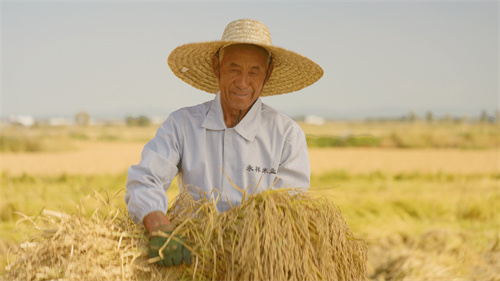   ִũҵ2025峣¡ Ʒζϵ