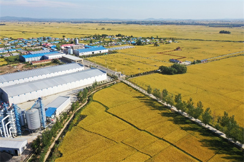   ִũҵ2025峣¡ Ʒζϵ