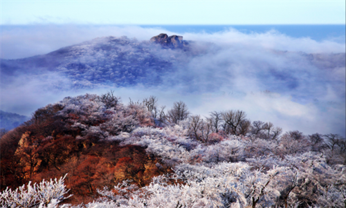 ��ѩΪý ��������  �����ִ�������Ȧ�������ذ���Ļ