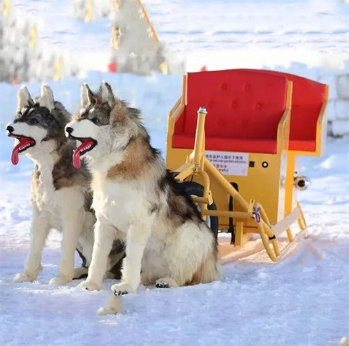 ѩ��ҽ���̣�«��ӭѩ�磡12��29�գ������«����ѩʢ��ʢ����Ļ��